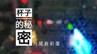 德州饭店爆料视频播放 第3张 德州饭店爆料视频播放 第3张