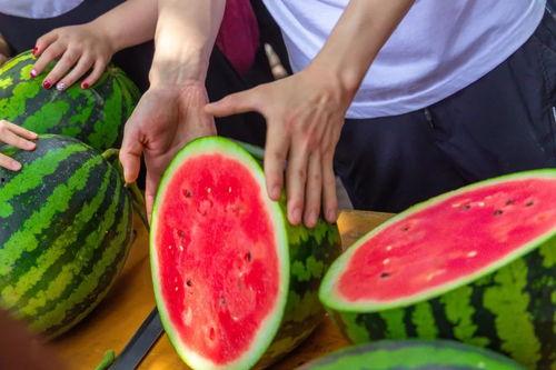 免费的超大尺度吃瓜群,揭秘娱乐圈幕后真相